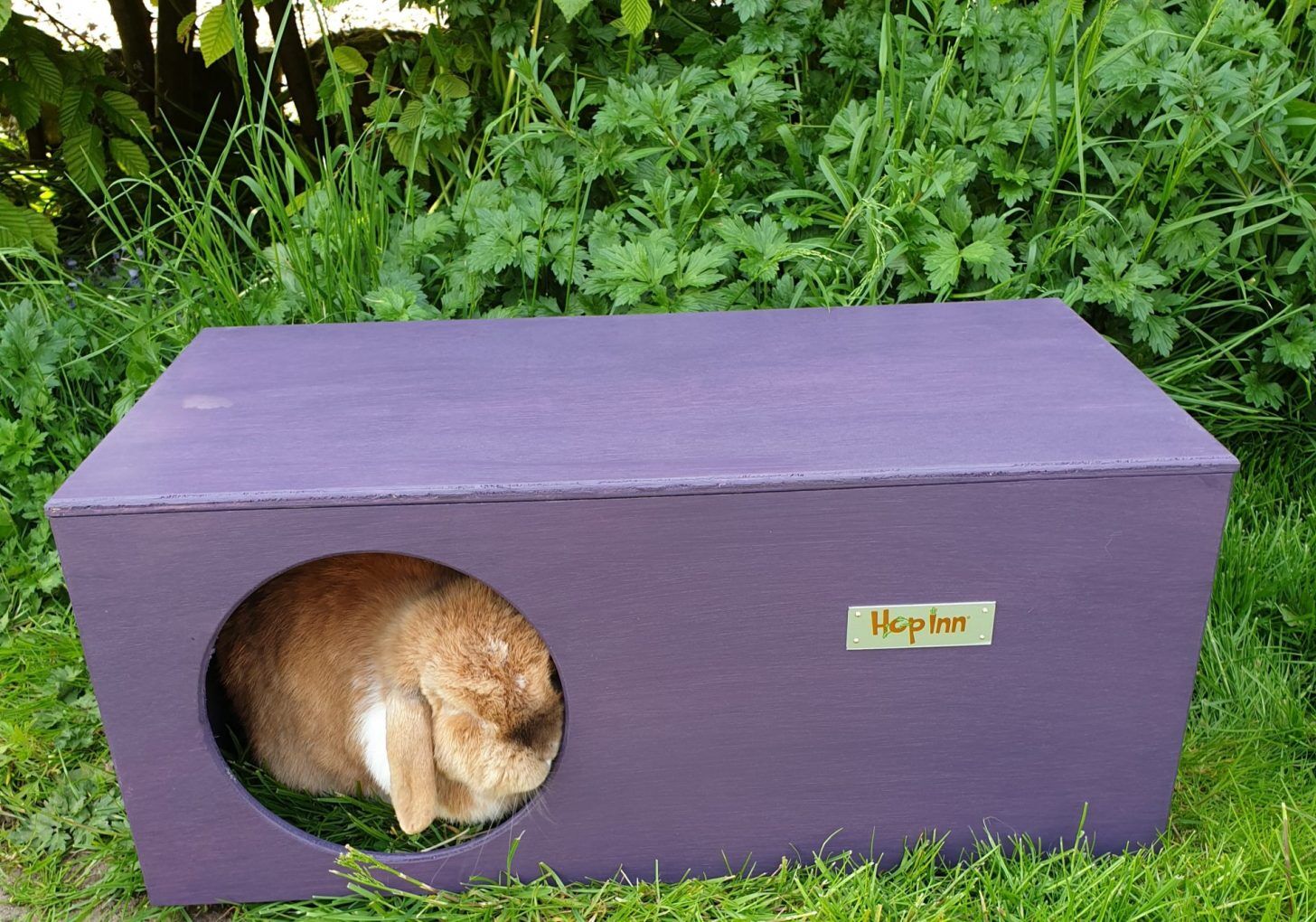Rabbit Hideaway House - Czar Plum - Image 3