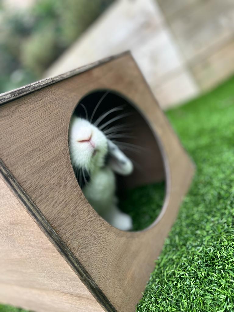 Rabbit Hideaway Cat Hideout - Weathered Wood - Image 2