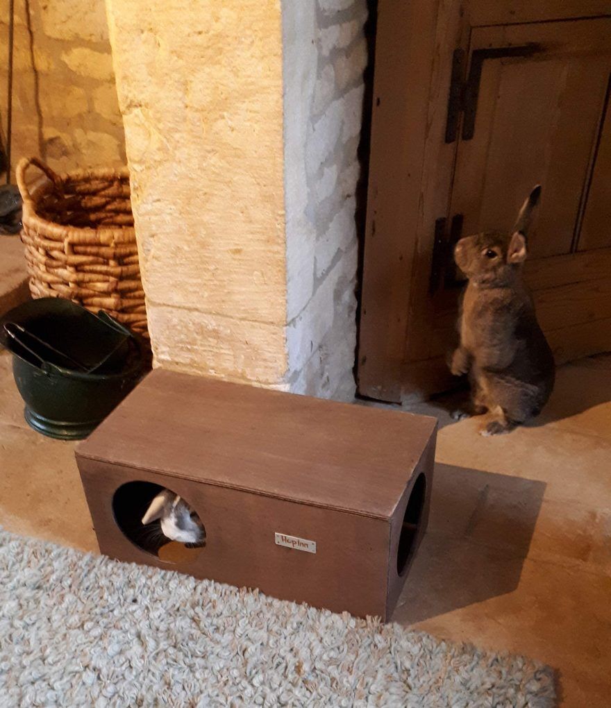 Rabbit Hideaway Cat Hideout - Weathered Wood - Image 3