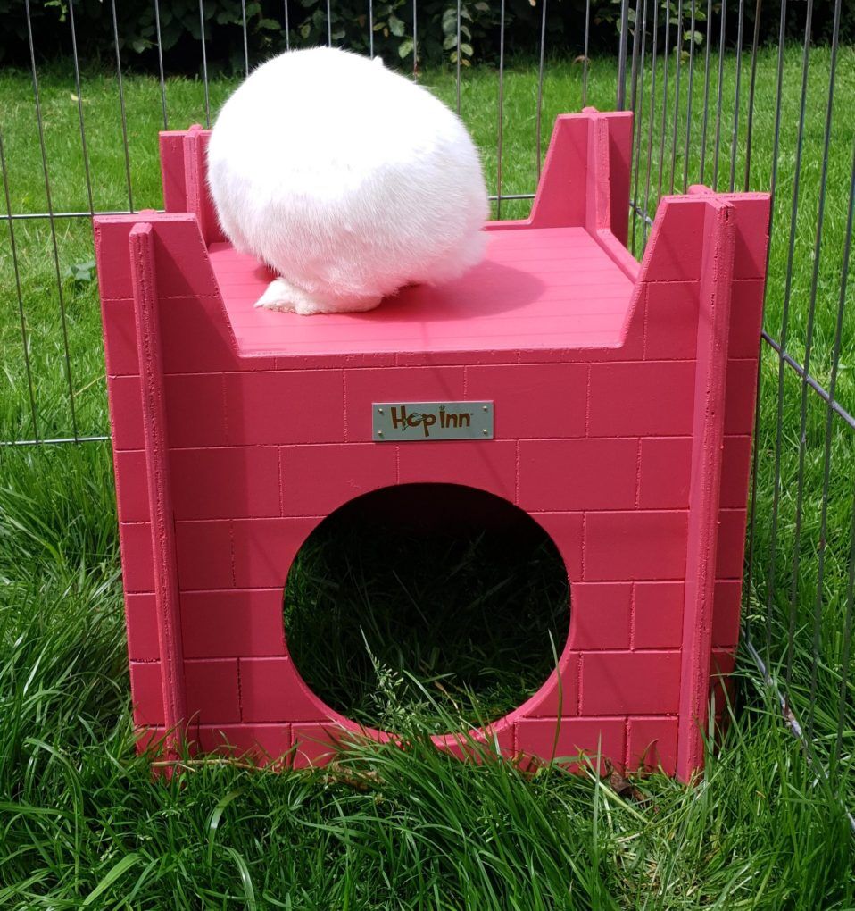 Rabbit Castle and Hideaway Use Together or Separately (Flamingo Pink) - Image 7