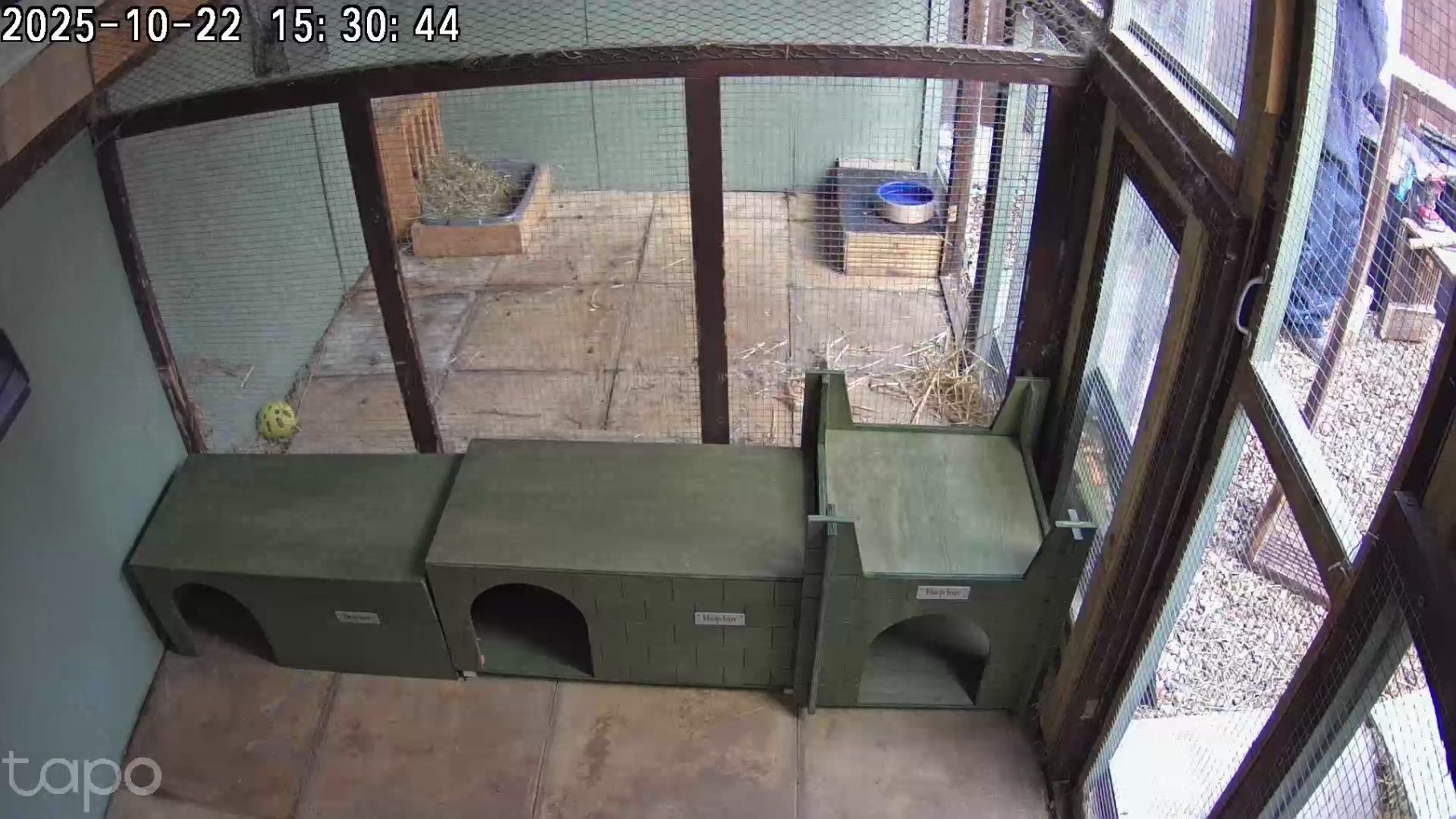 Rabbit Hideaway 3 Way Entrance - Various colours (NEW) - Image 4